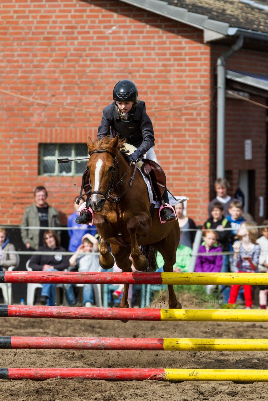 Bild 186 - Reitschule Janen Jubilum